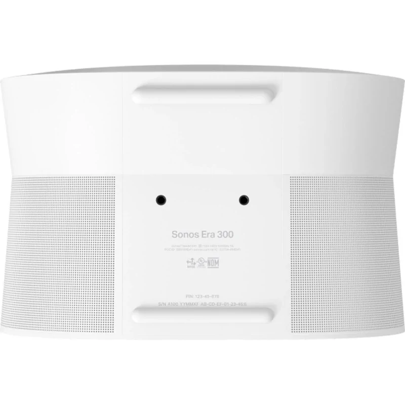 Portable Bluetooth Speakers Sonos White