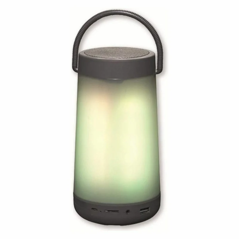 Bluetooth Speakers Denver Electronics BTL-311...