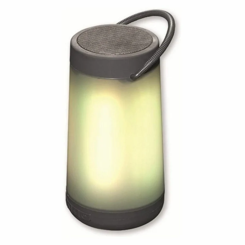 Bluetooth Speakers Denver Electronics BTL-311...