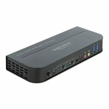 Dockstation DELOCK 11481 Black