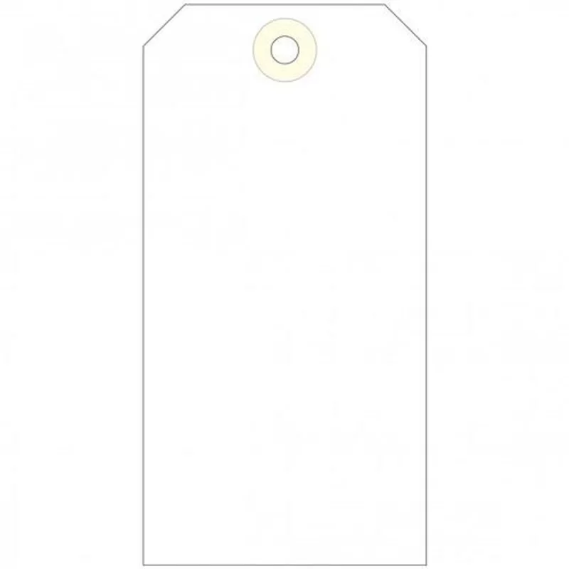 Printer Labels Apli 1000 Pieces With washer...