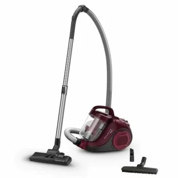 Cyclonic Vacuum Cleaner Rowenta RO2933 750 W