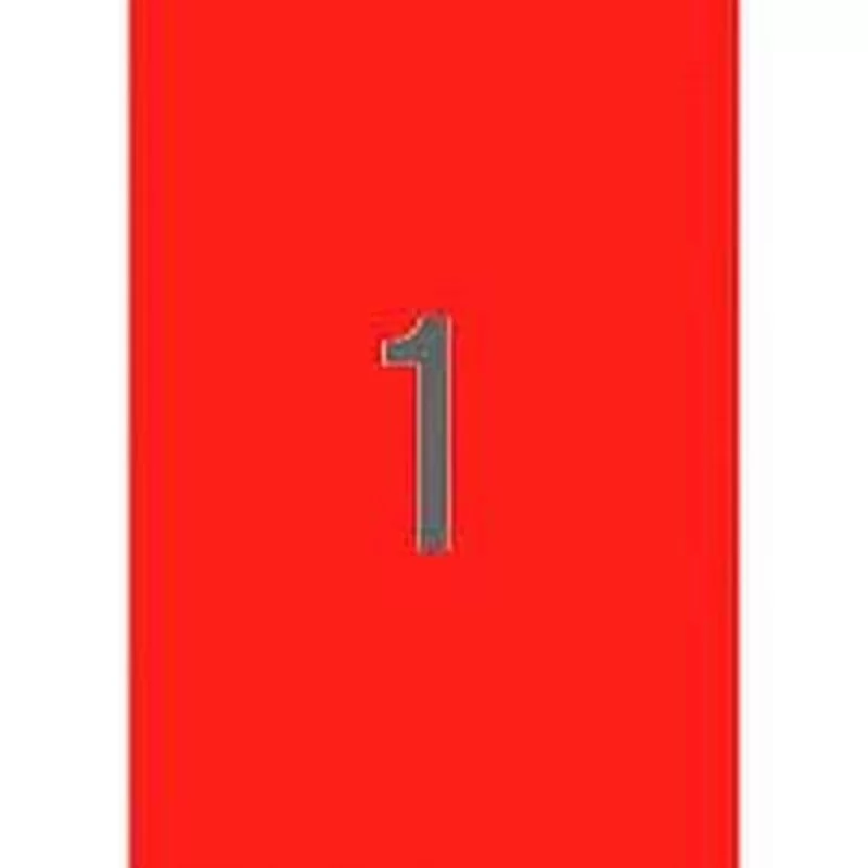 Printer Labels Apli Red 210 x 297 mm
