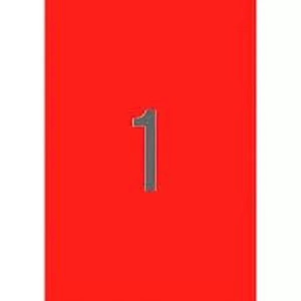 Printer Labels Apli Red 210 x 297 mm