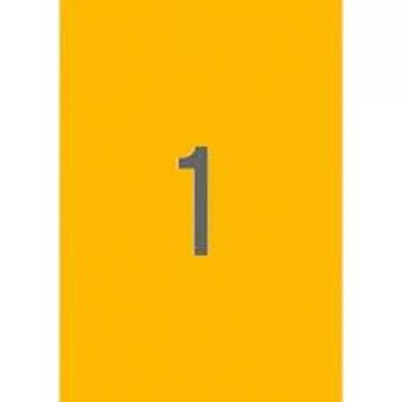 Printer Labels Apli Orange 210 x 297 mm