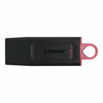 USB stick Kingston DTX/256GB Keychain Black 256 GB