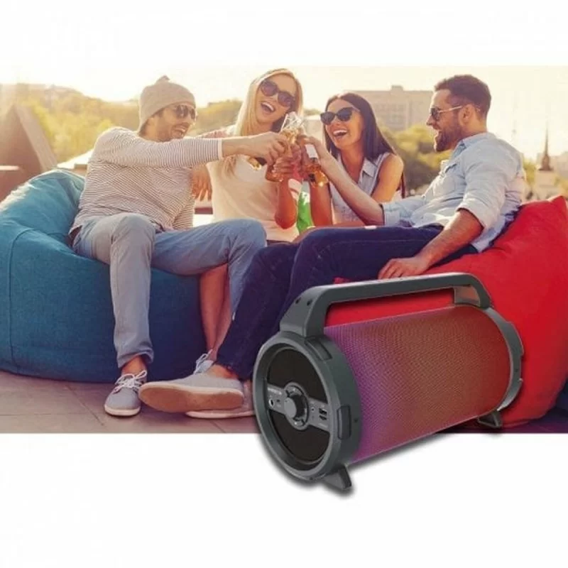 Portable Bluetooth Speakers Avenzo AV-SP3301B...