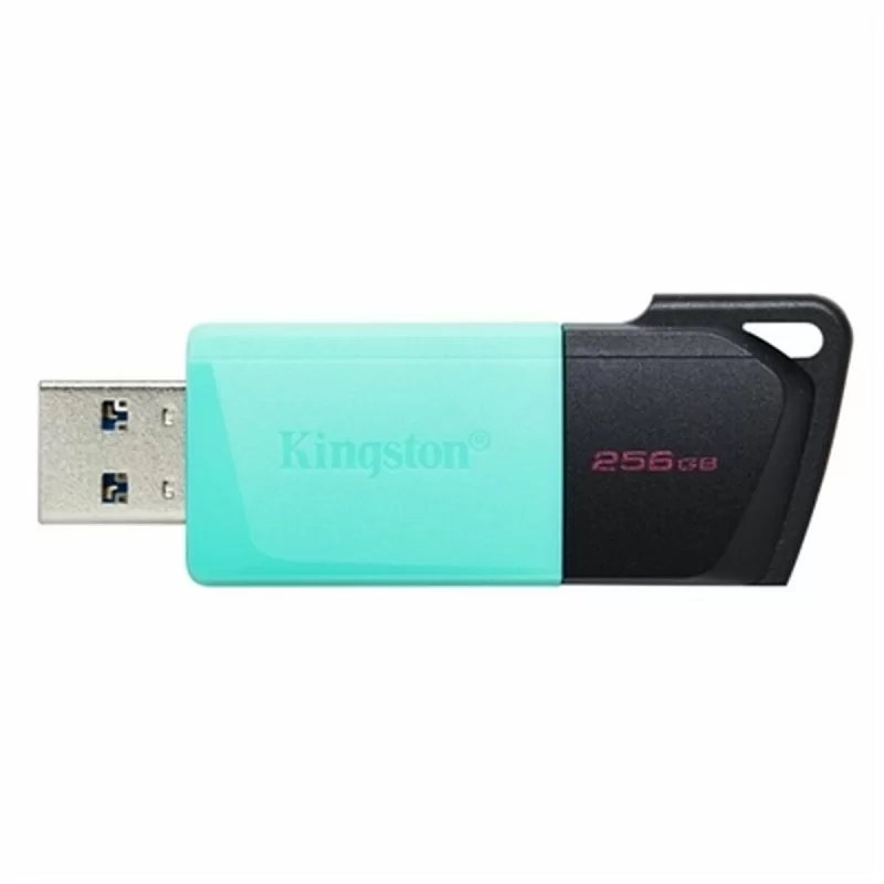 USB stick Kingston DataTraveler DTXM 256 GB 256 GB