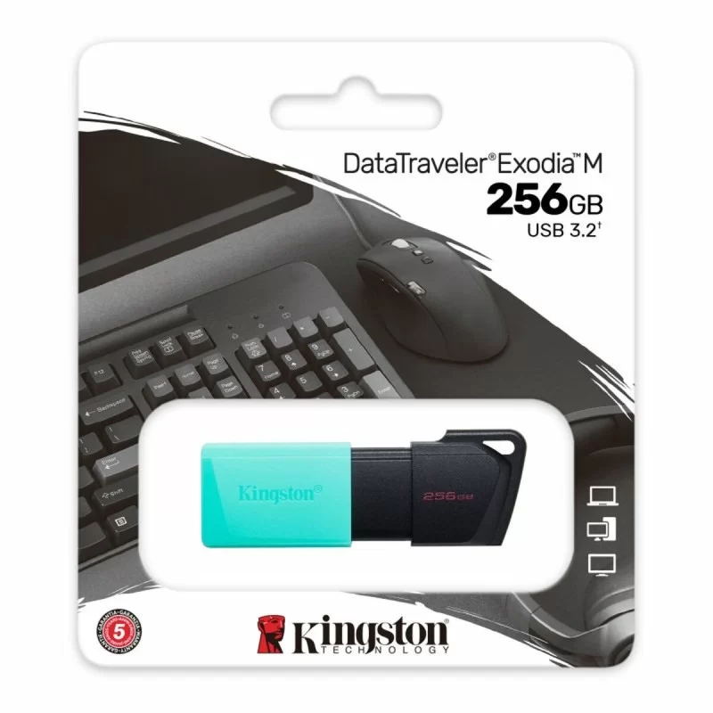 USB stick Kingston DataTraveler DTXM 256 GB 256 GB