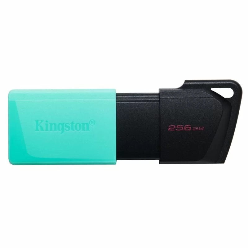USB stick Kingston DataTraveler DTXM 256 GB 256 GB