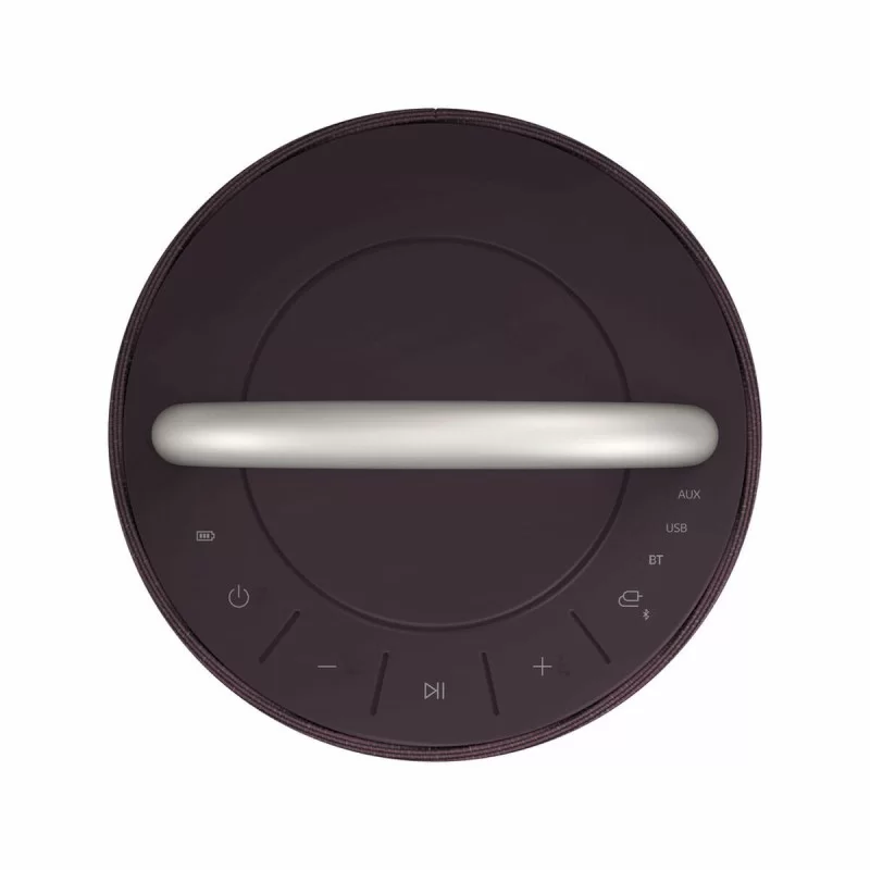 Portable Bluetooth Speakers LG RP4 Burgundy 120 W