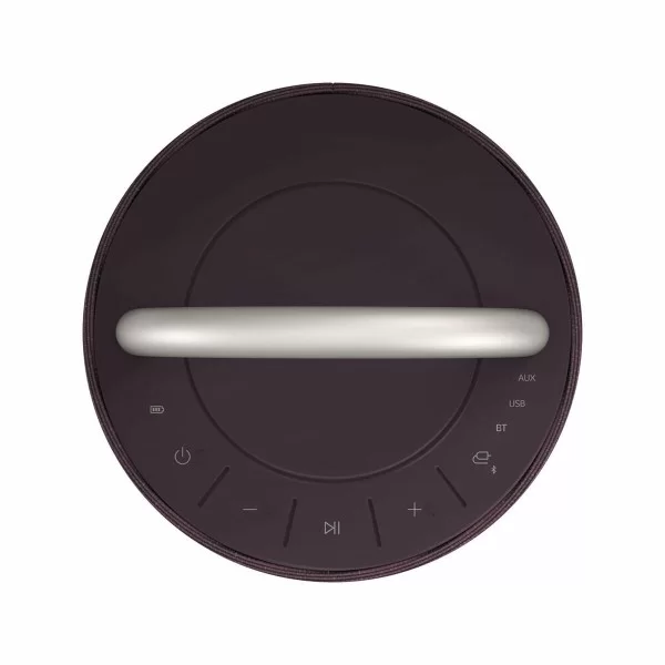 Portable Bluetooth Speakers LG RP4 Burgundy 120 W