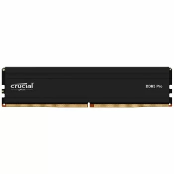 RAM Memory Crucial CP24G60C48U5