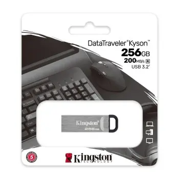 USB stick Kingston DTKN/256GB Black 256 GB