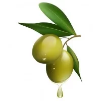 Green Olives